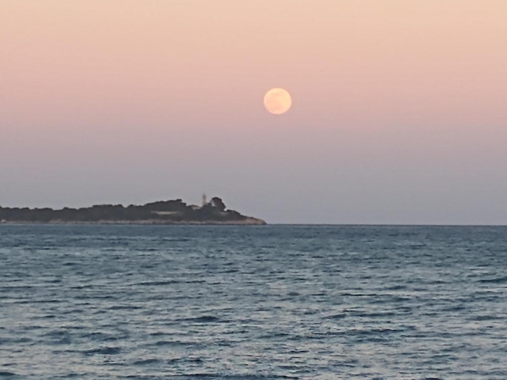 Gola Estada 1A Port de Pollenca Δωμάτιο φωτογραφία